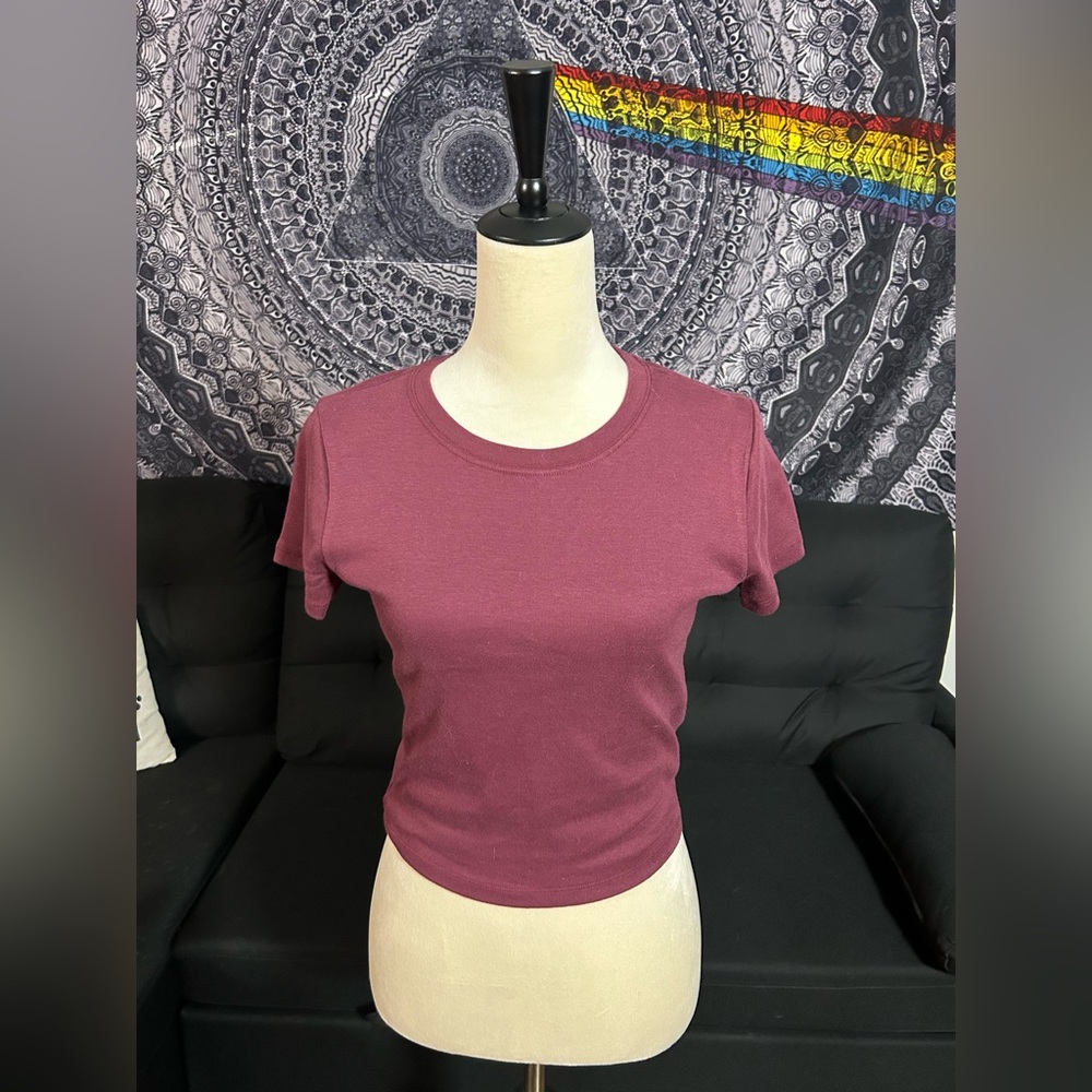 NWT Hollister Crew Baby Tee